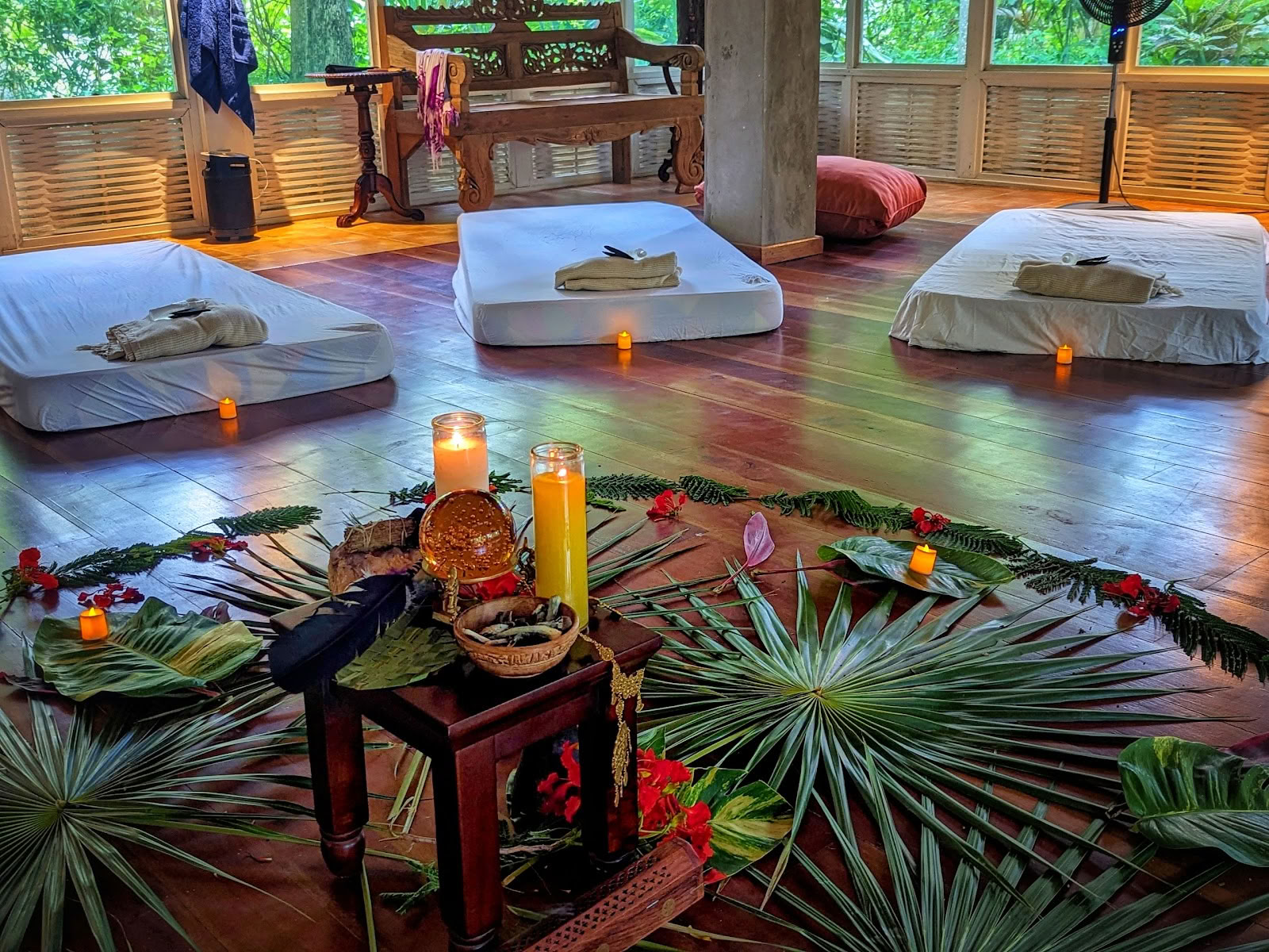 ONE Retreats | Psilosybiinisieniretriitit