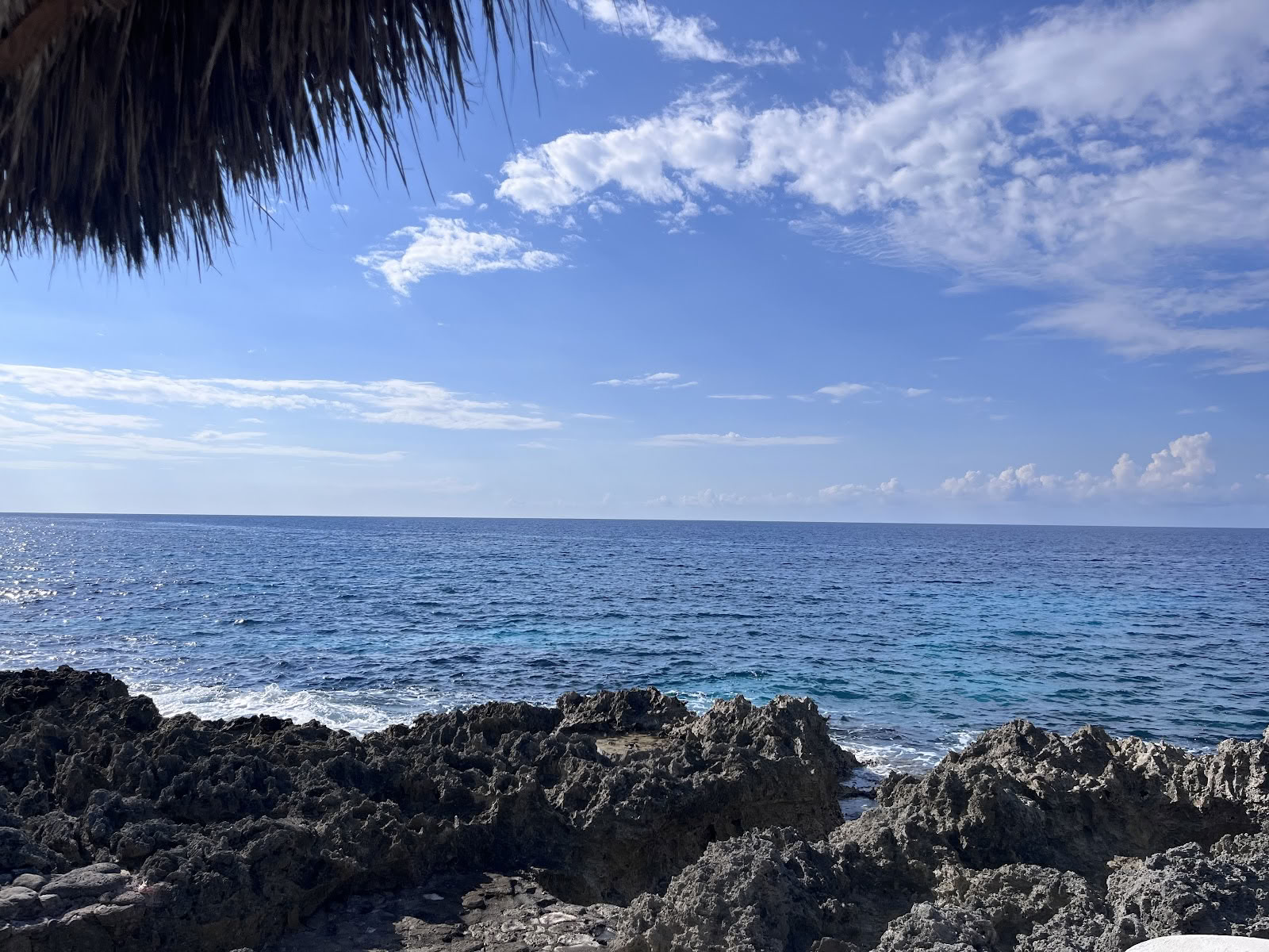 ONE Retreats | Psilosybiinisieniretriitit