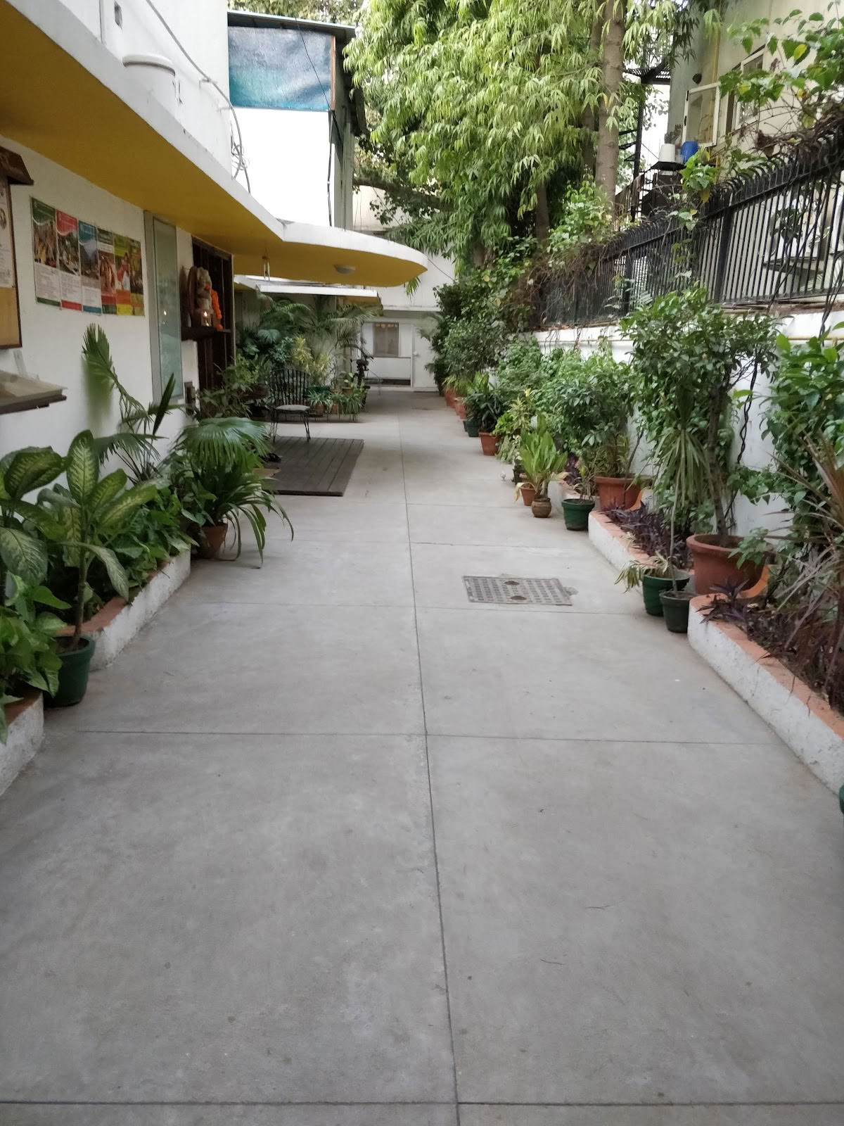 Sivananda-jooga, Etelä-Delhi