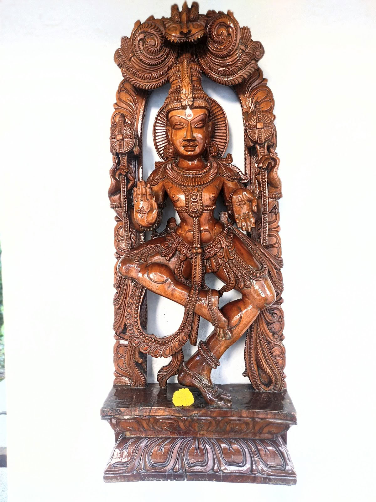 Sivananda-jooga, Etelä-Delhi