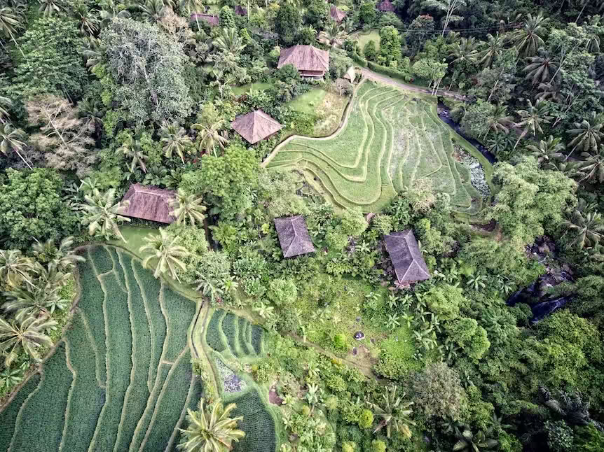 Purna Yoga Bali | Ashtanga-joogan retriitit ja koulutukset