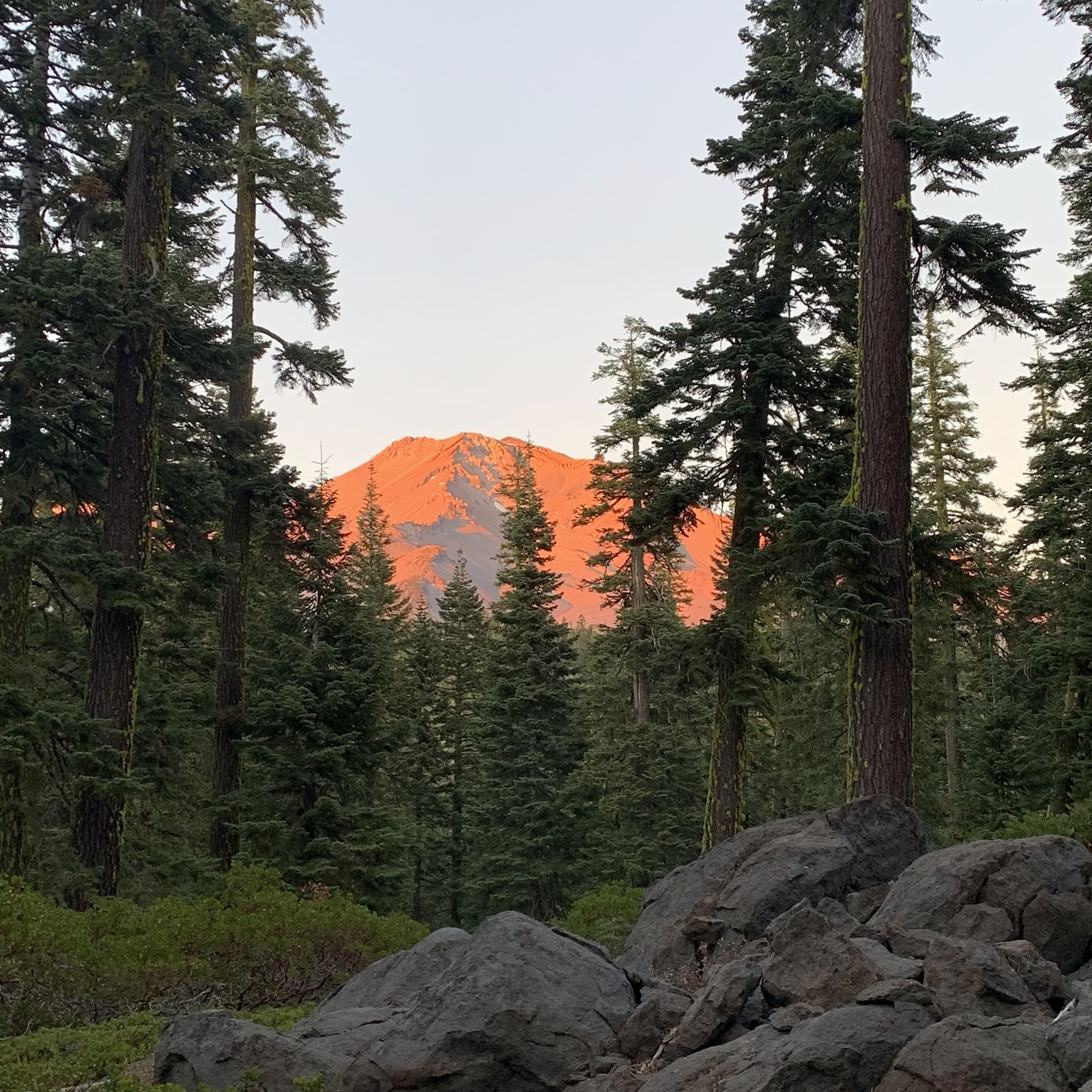 Mount Shasta -retriitit