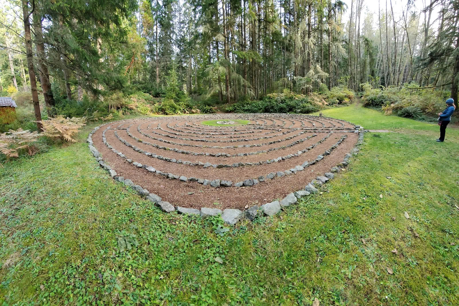 Whidbeyn instituutti