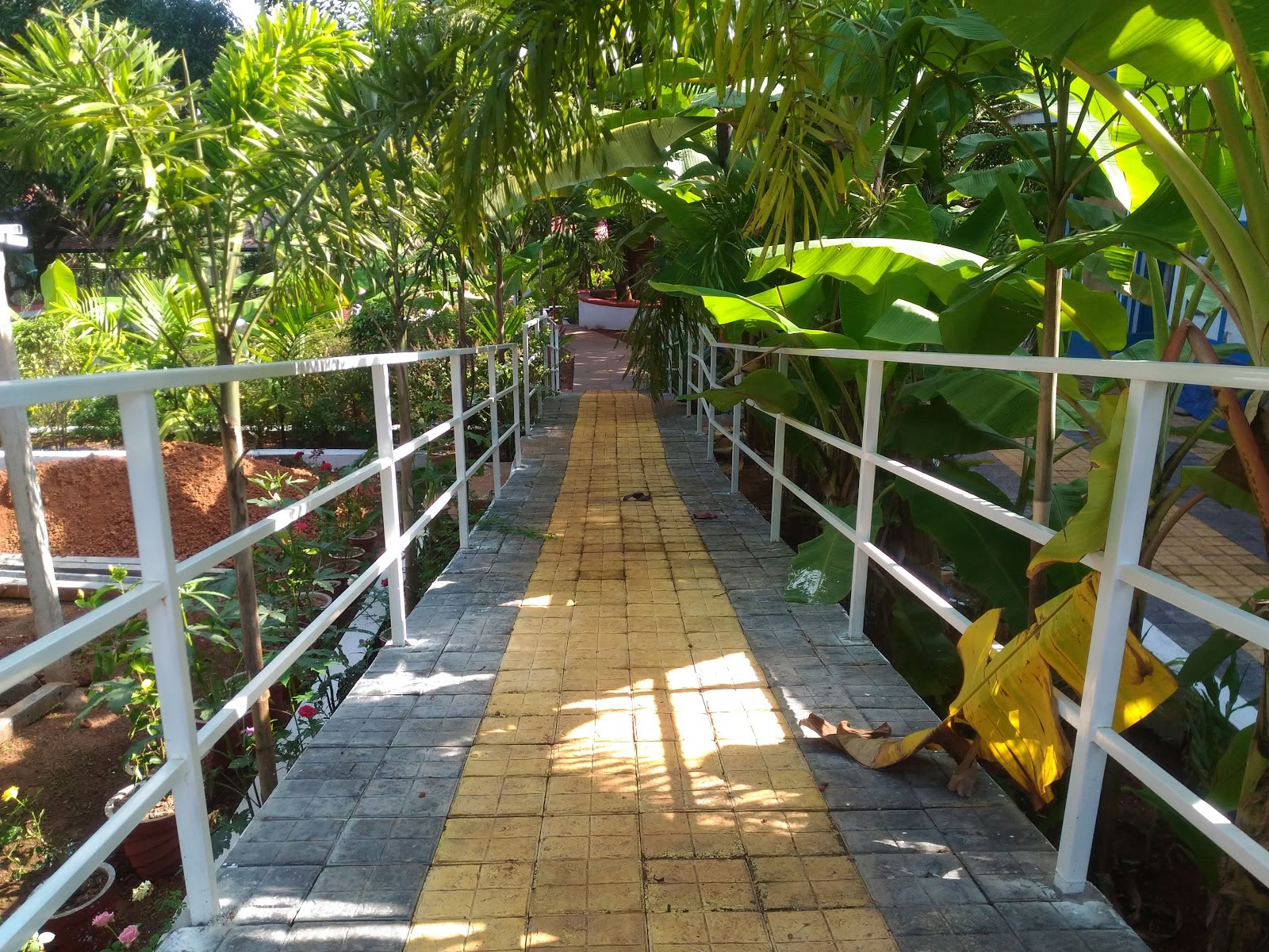 Preksha jooga