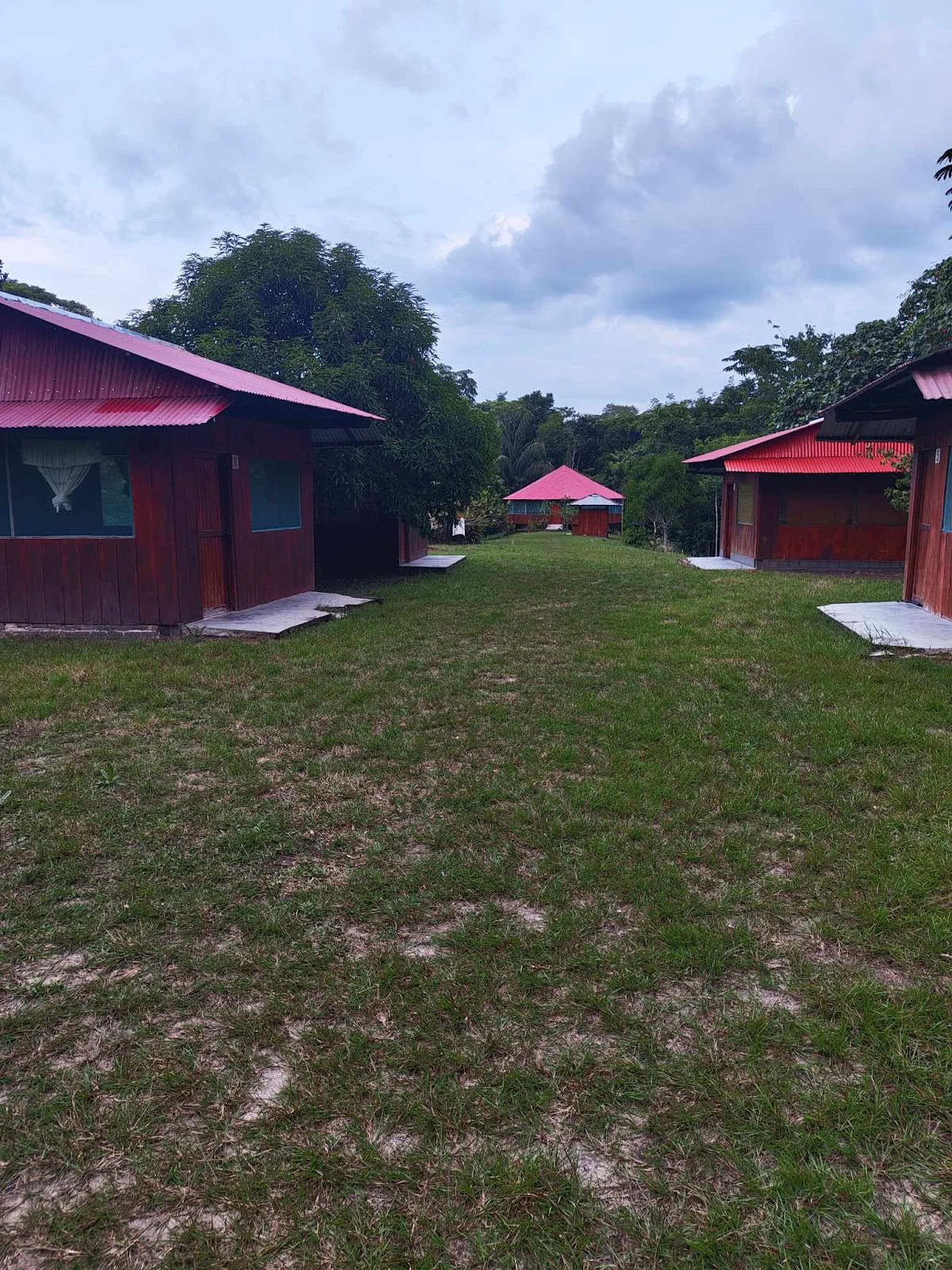 Virallinen Selva Madre Ayahuasca -retriitti, Iquitos, Peru