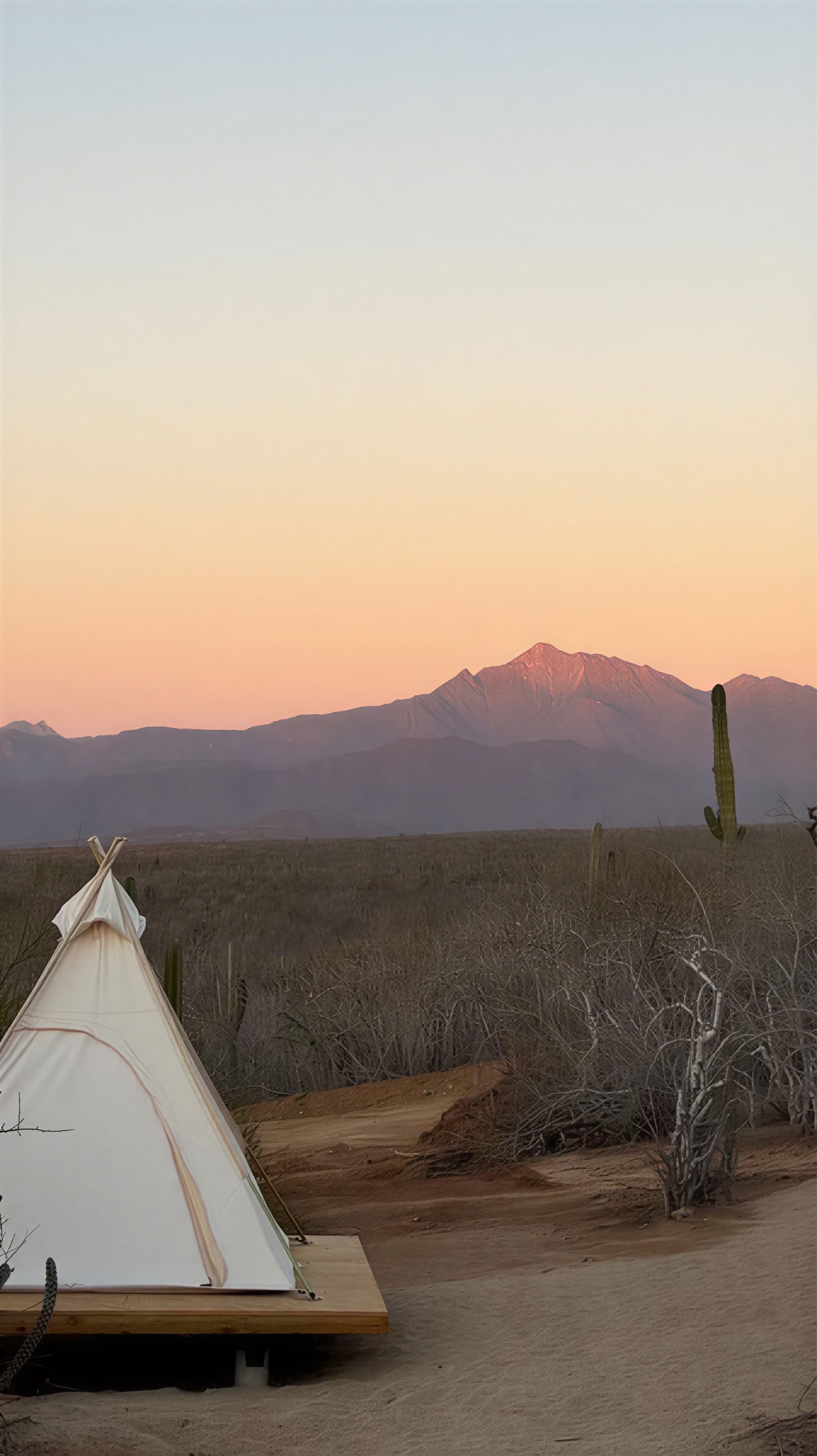 Eteerinen | Baja California Sur
