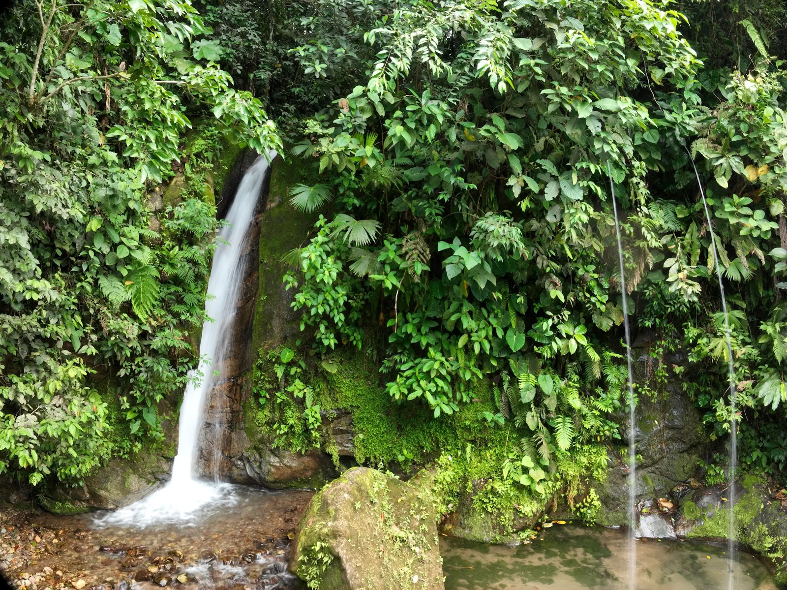Mahadevi Ayahuasca -retriitti Kolumbiassa