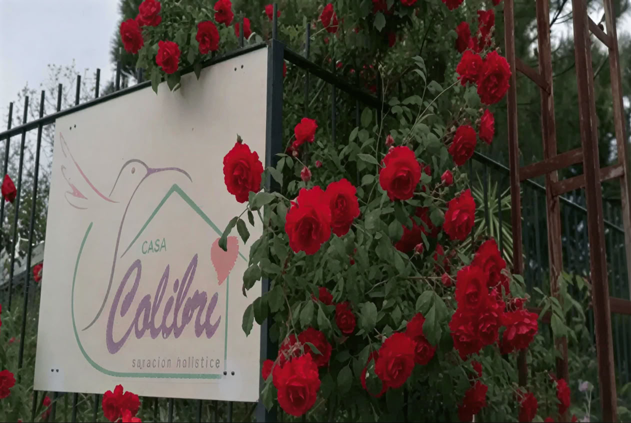 Casa Colibrí (holistinen terveys)