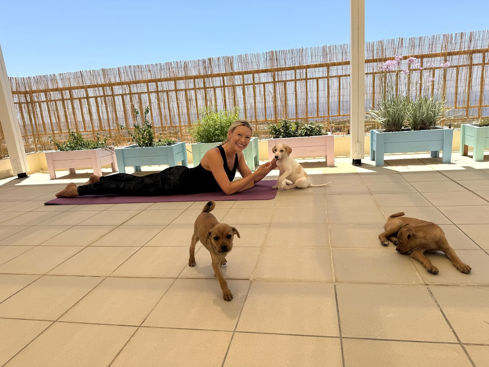 Puppujoogan retriitti