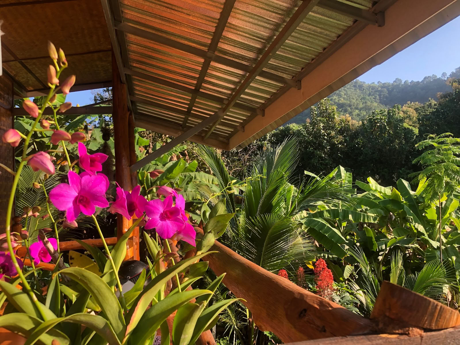 Todellinen Luonto Chiang Mai - Jooga- ja Meditaatiokotimajoituksen Retriitti