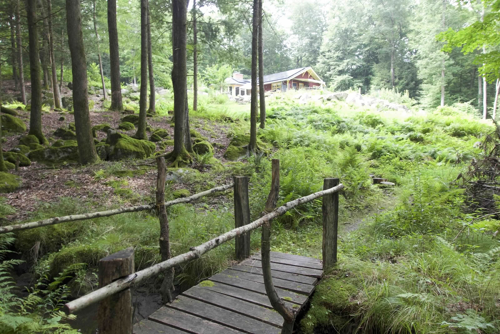 Helmimaterin parantamiskeskus