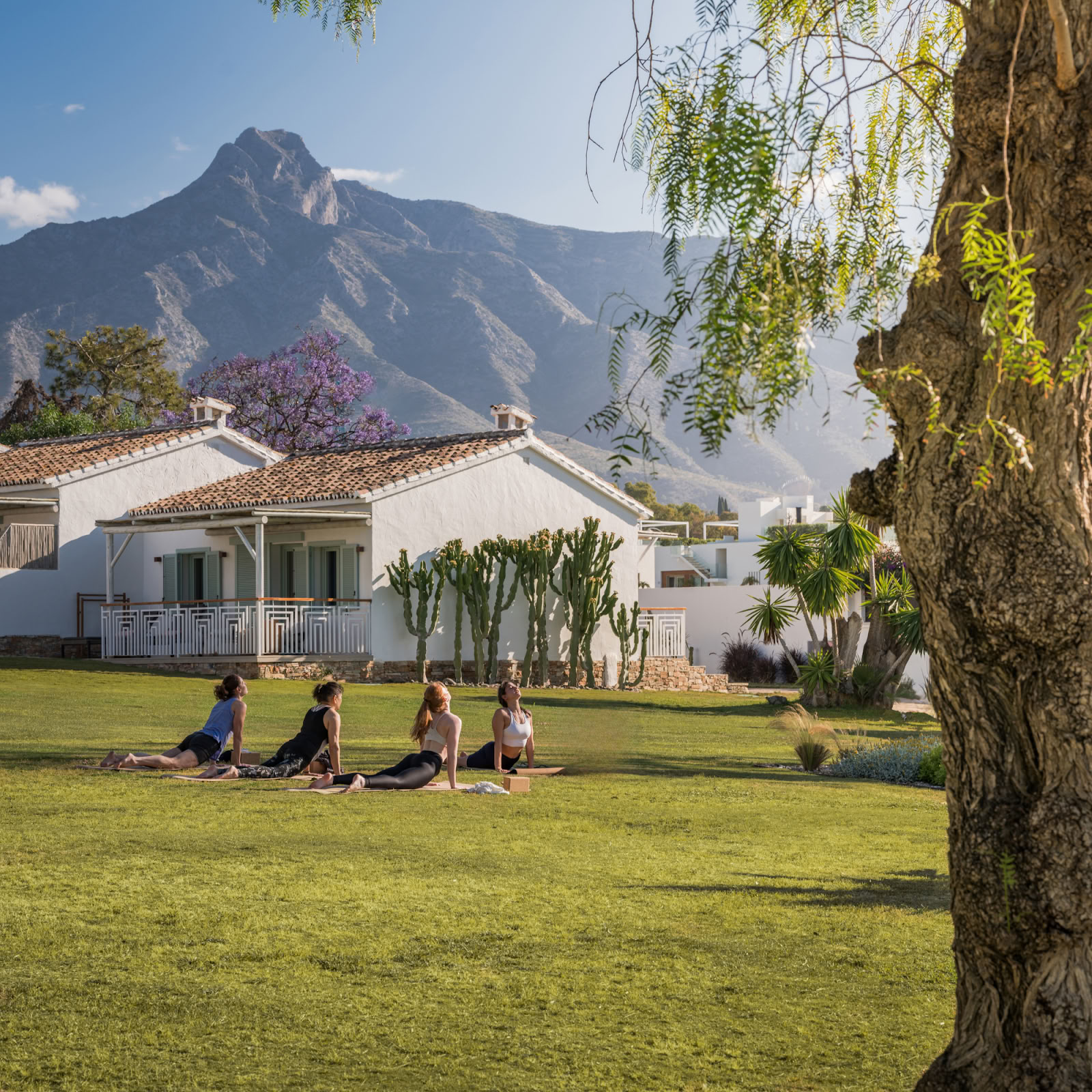 Boho Wellness · Terveys ja retriitit
