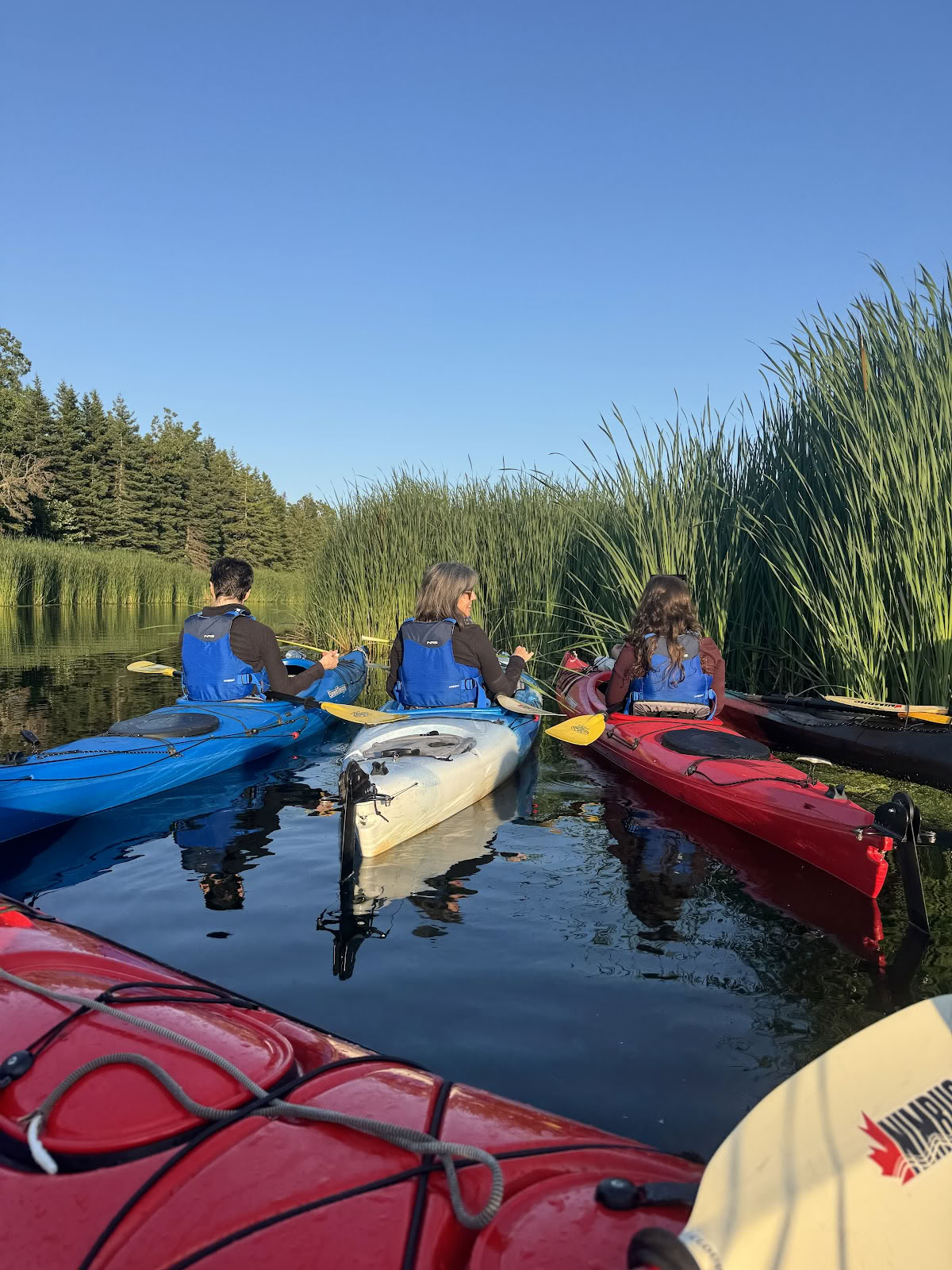 Luontotila Resort & Retreat Centre