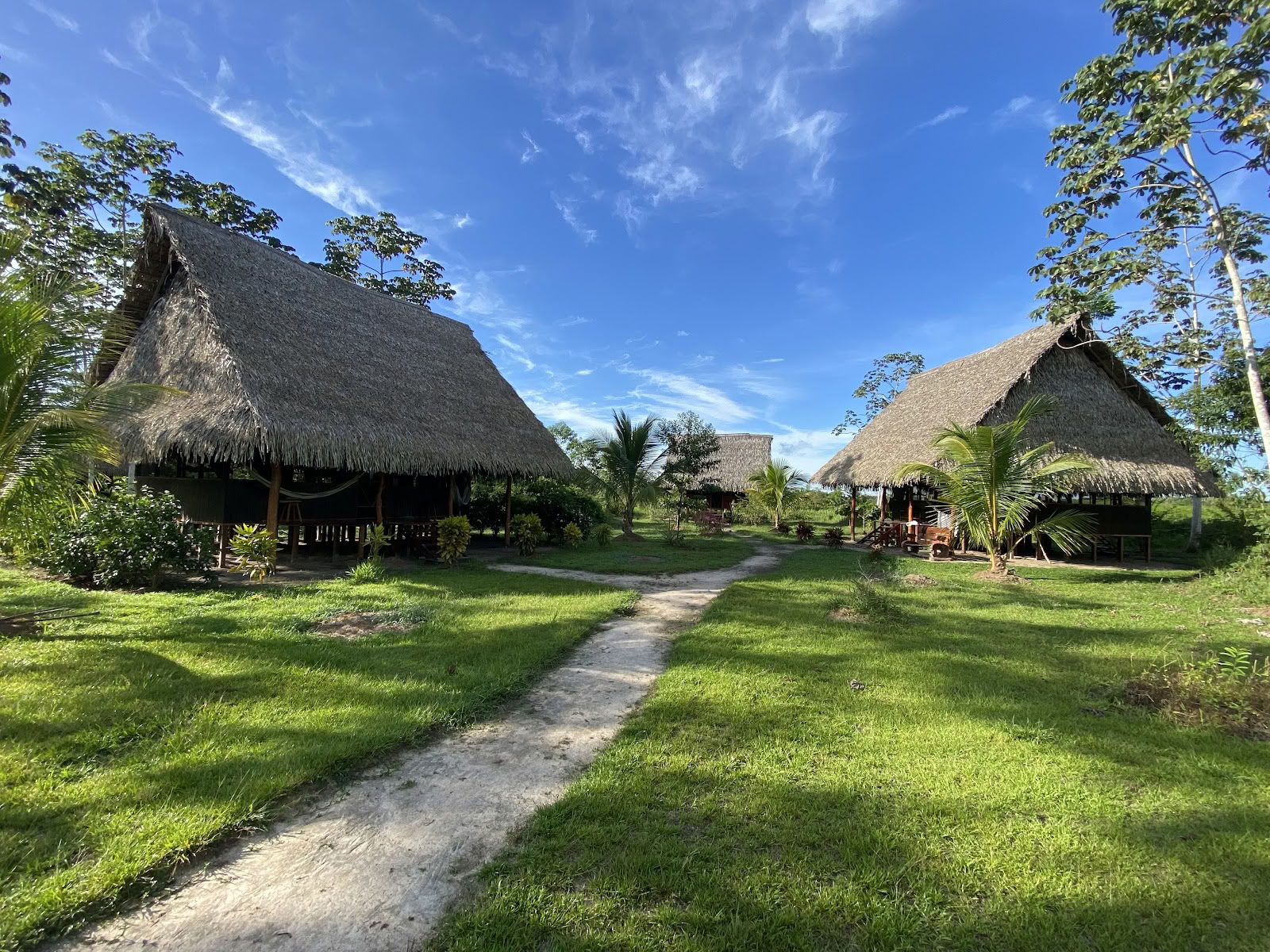 Los Cielos Peru (Maapallosairaala)
