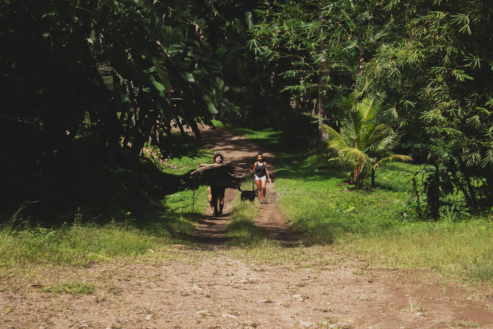 Finca Shambhala Orgaaninen