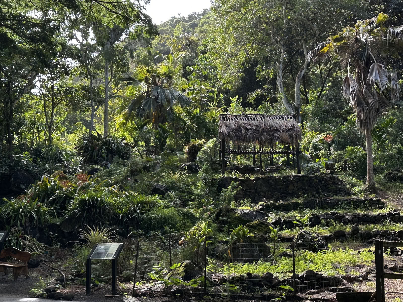 Pohjoisrannan tehtävä