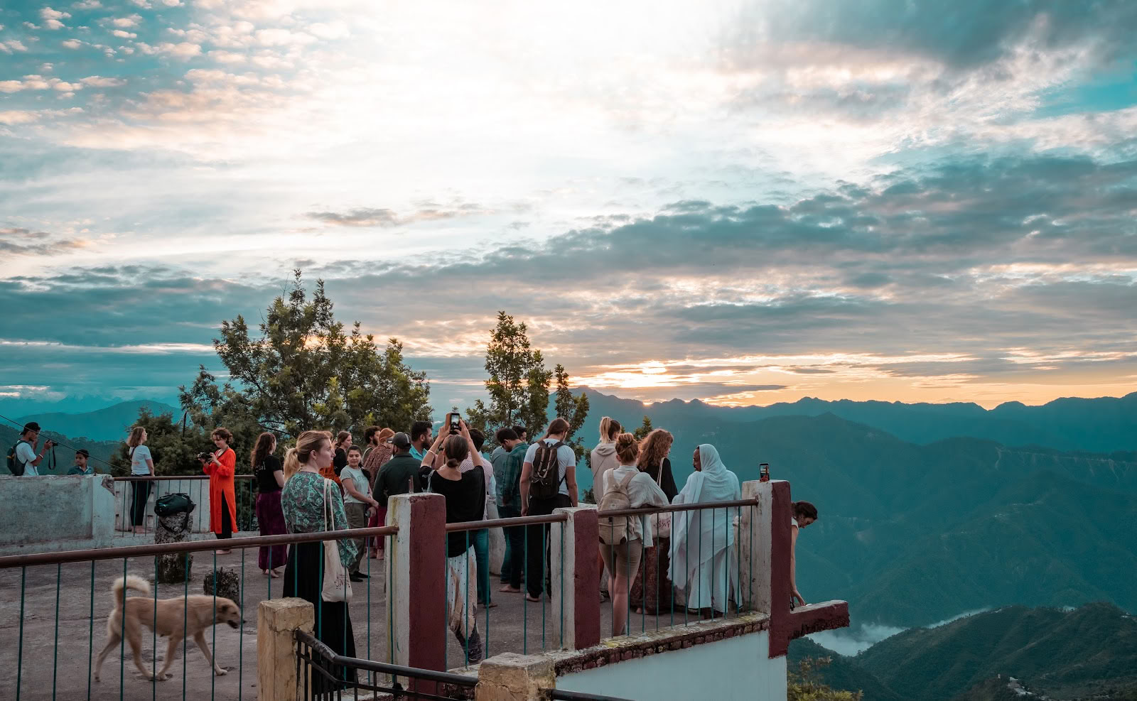 Samadhi Yoga Ashram – paras joogakoulu Rishikeshissä, Intiassa