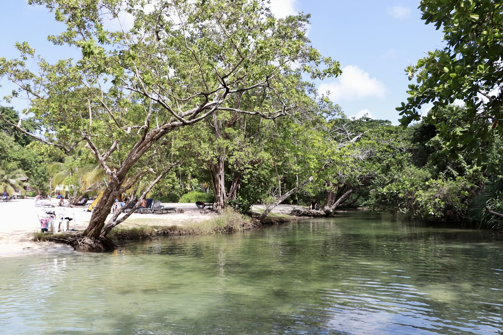 Frenchman's Cove -lomakeskus
