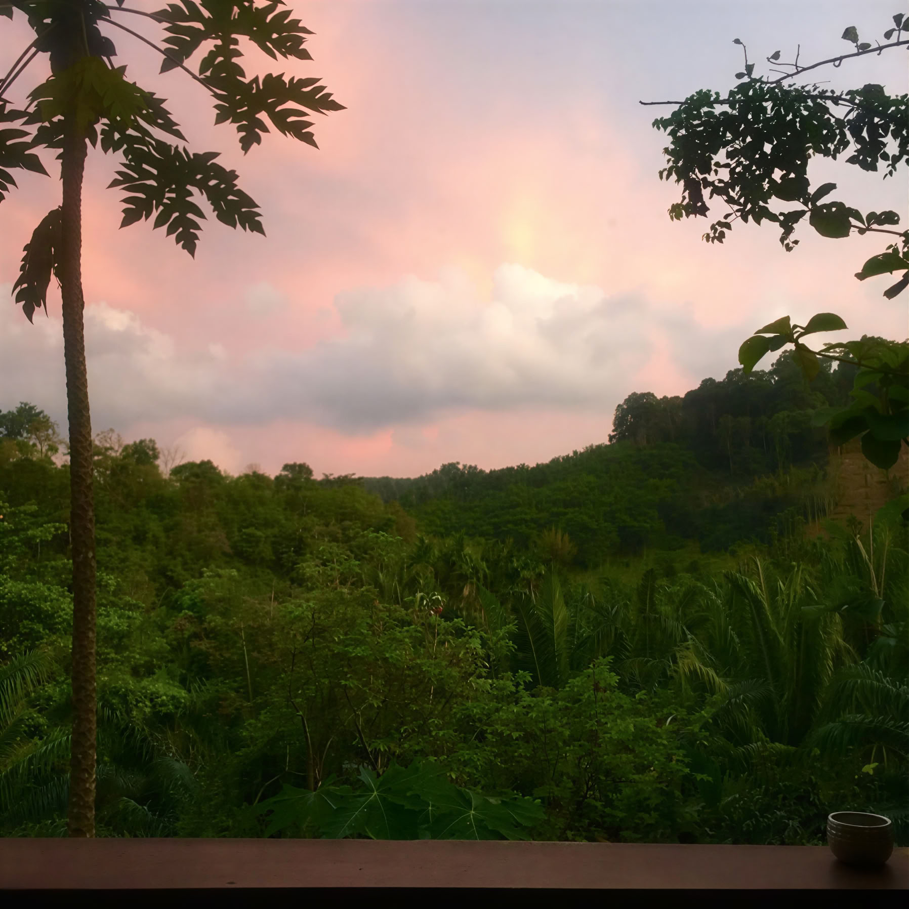 Eco-Logic Thaimaa