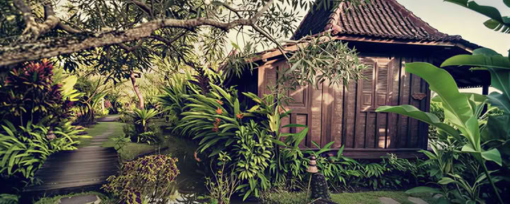 Ylellinen kolmen hengen huone - PAPAYA